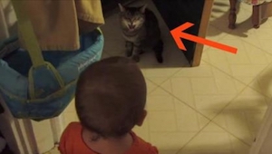 Maminka natočila, jak si její dítě povídá s kočkou. Reakce kočky v 10. vteřině? 