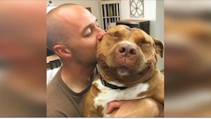 Její milovaný pitbull umírá. O tři měsíce později uvidí na Internetu tohoto psa 