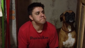 Jeho majitel se rozhodl vyzkoušet, jaké to je být psem… Zaručeně rozesměje i vás
