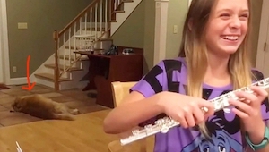 Dívka cvičí na flétnu. Reakce jejího psa pobavila celý internet!