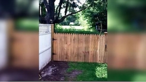 Muž se chlubí plotem, který postavil proto, aby jeho pes nechodil do sousedovy z