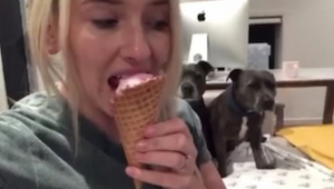 Žena jí zmrzlinu, ale podívejte se, co vyvádějí její 2 psi! Úžasné!
