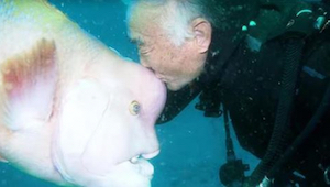 Když před 30 lety zachránil život rybě, nečekal, že si ho bude pamatovat! 