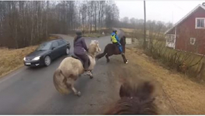 Auto předjíždí koně… Toto video rozzuřilo internet! 