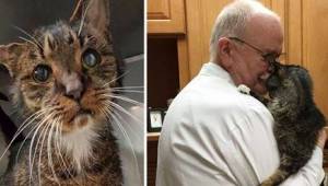 Když ho veterinář uviděl na ulici, věděl, že ho nikdo nebude chtít adoptovat. Na
